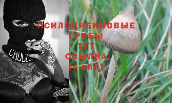 гашик Алзамай