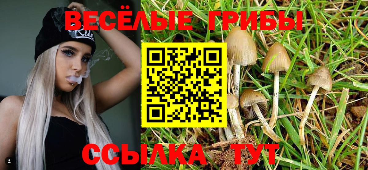 хочу   Вход с VPN  Архангельск  Галлюциногенные грибы Psilocybe  Псилоцибиновые грибы MAGIC MUSHROOMS 
